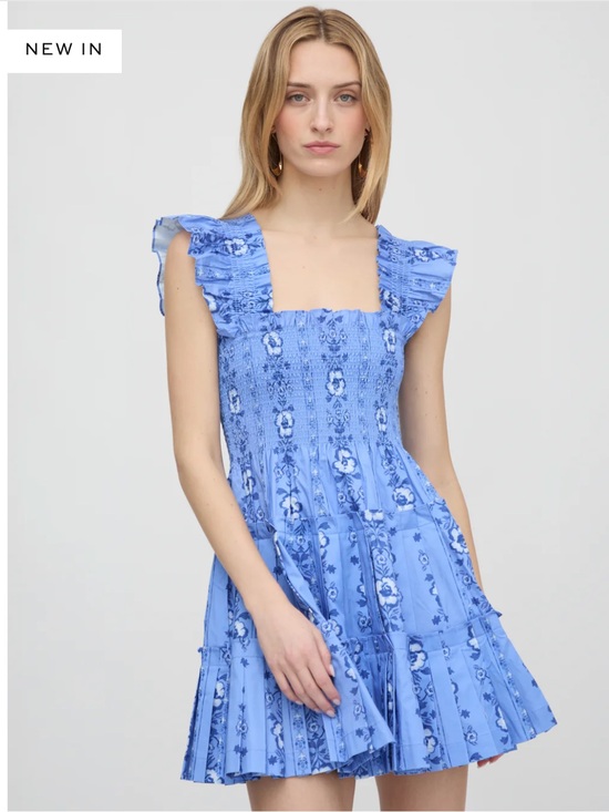 Hill House Dresses & Skirts - Hill House Home The Charlotte Nap Dress in Blue Arcadia Border Size XL
